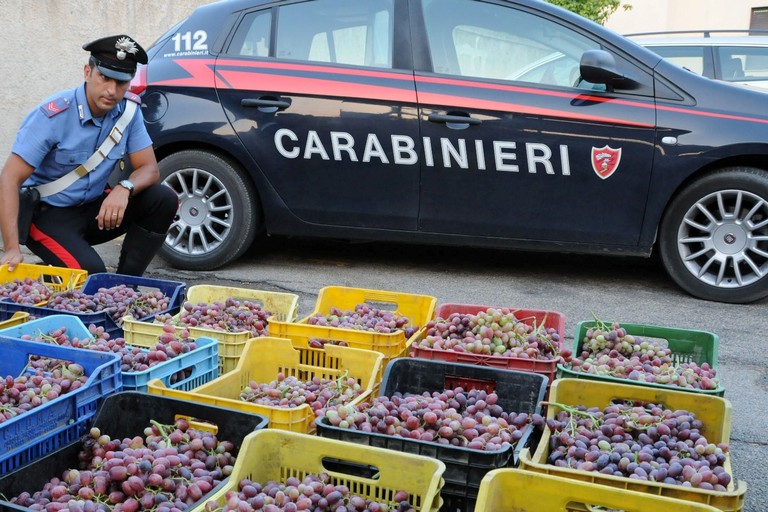L'uva recuperata dai Carabinieri