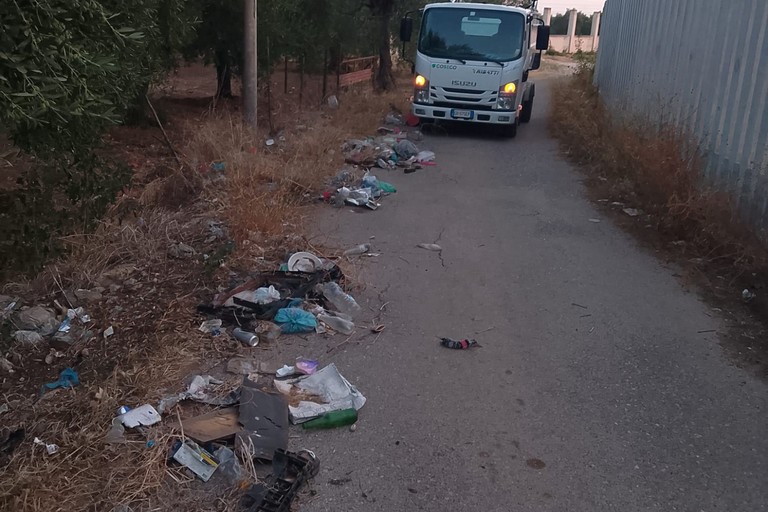 Ripulitura strade Sanb