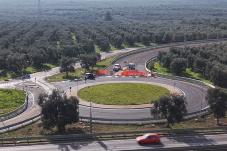 Rotatoria ponte sp 231