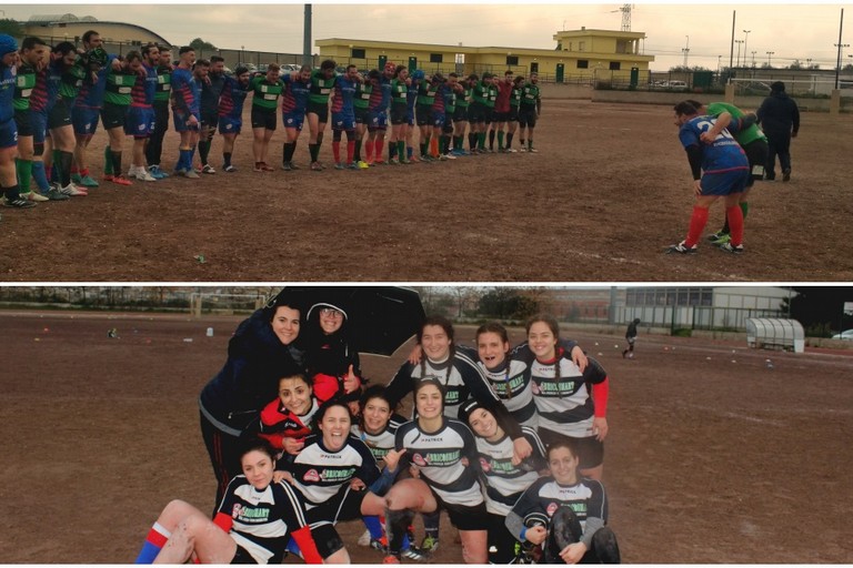 Rugby collage