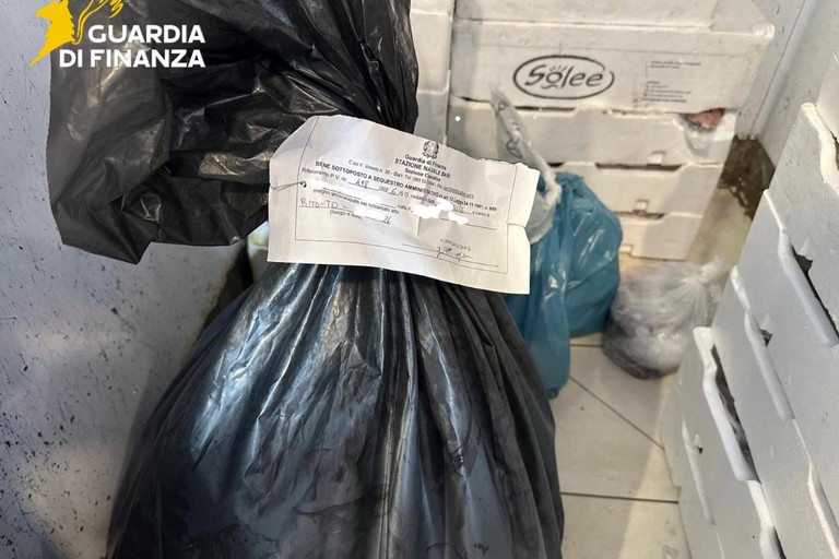 Sanzionata una pescheria di Bitonto: sequestrati 30kg di prodotti ittici privi di tracciabilità