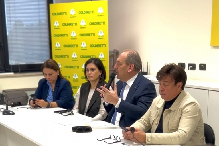 Sottosegretario La Pietra