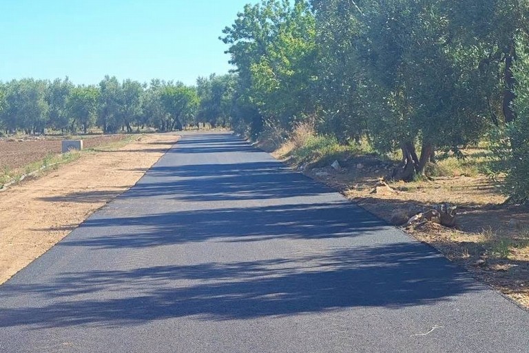 Strada rurale asfaltata a Bitonto