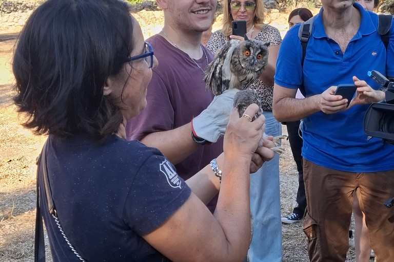Liberazione fauna selvatica in Lama Balice
