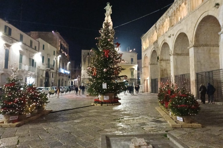 Allestimento natalizio in piazza Cattedrale