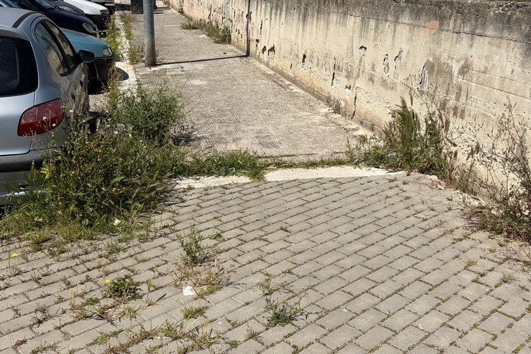 Incuria in via Ugo La Malfa